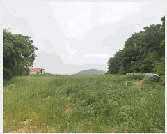  2025Ÿ��51090 ���� ���ȱ� ������ ����� 494-1      ����(��)���