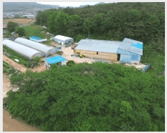  2025Ÿ��51090 ���� ���ȱ� ������ ����� 504      ���(�󰡽ü�)���