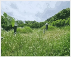  2025Ÿ��51151 ���� ���� ����� ������ 457      ����(��1)���