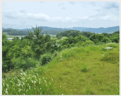  2025Ÿ��51151 ���� ���� ����� ������ 457      ����(��1)���