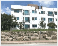  2025Ÿ��51195 ���� �žȱ� ������ ������ 381-8 �������� 105�� 2�� 206ȣ  �ټ���,������