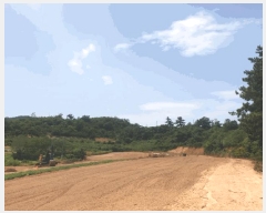  2025Ÿ��51226  �Ӿ߰��