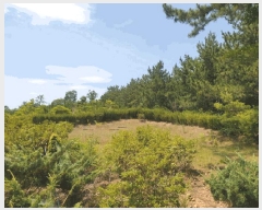  2025Ÿ��51226  �Ӿ߰��