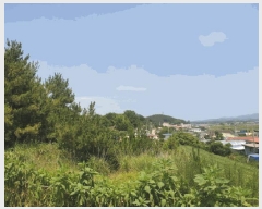  2025Ÿ��51226  �Ӿ߰��