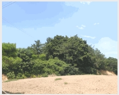  2025Ÿ��51226  �Ӿ߰��