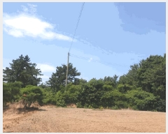  2025Ÿ��51226  �Ӿ߰��