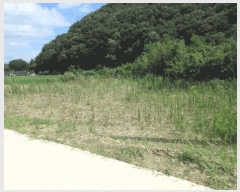  2025Ÿ��51235 ���� ���� �غ��� �غ��� 900      ����(��1)���