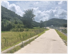  2025Ÿ��51235 ���� ���� �غ��� �غ��� 900      ����(��1)���