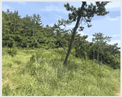  2025Ÿ��51245 ���� �žȱ� ������ ���̸� ��212-4      ����(�Ӿ�)���