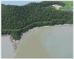  2025Ÿ��51245 ���� �žȱ� ������ ���̸� ��212-4      ����(�Ӿ�)���