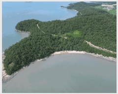  2025Ÿ��51245 ���� �žȱ� ������ ���̸� ��212-4      ����(�Ӿ�)���