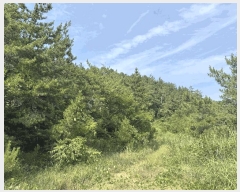  2025Ÿ��51245 ���� �žȱ� ������ ���̸� ��212-4      ����(�Ӿ�)���