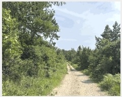  2025Ÿ��51245 ���� �žȱ� ������ ���̸� ��212-4      ����(�Ӿ�)���