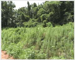  2025Ÿ��51257 ���� ���ȱ� û��� ���渮 168      ����(��1)���