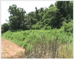  2025Ÿ��51257 ���� ���ȱ� û��� ���渮 168      ����(��1)���