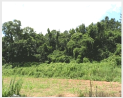  2025Ÿ��51257 ���� ���ȱ� û��� ���渮 168      ����(��1)���