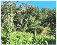  2025Ÿ��51266  �������