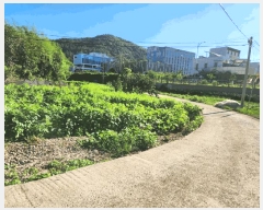  2025Ÿ��51266  �������