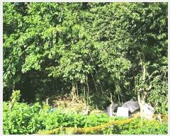  2025Ÿ��51266  �������