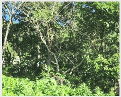  2025Ÿ��51266  �������