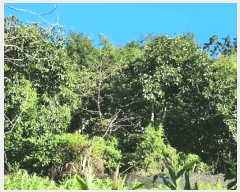  2025Ÿ��51266  �������