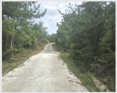  2025Ÿ��51282 ���� ���� �б��� ���긮 ��32-1      ����(�Ӿ�)���