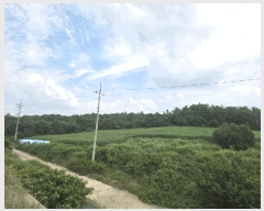  2025Ÿ��51282 ���� ���� �б��� ���긮 ��32-1      ����(�Ӿ�)���