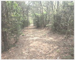  2025Ÿ��51282 ���� ���� �б��� ���긮 ��32-1      ����(�Ӿ�)���