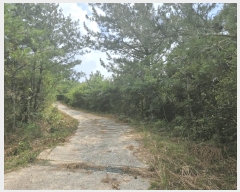  2025Ÿ��51282 ���� ���� �б��� ���긮 ��32-1      ����(�Ӿ�)���