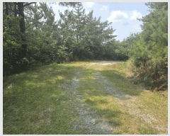  2025Ÿ��51282 ���� ���� �б��� ���긮 ��32-1      ����(�Ӿ�)���