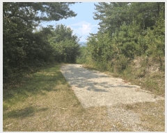  2025Ÿ��51282 ���� ���� �б��� ���긮 ��32-1      ����(�Ӿ�)���