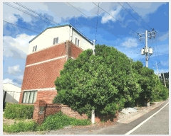  2025Ÿ��51303  ������