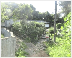  2025Ÿ��51347  �������