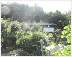  2025Ÿ��51347  �������