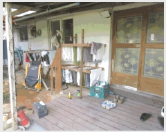  2025Ÿ��51347  �������