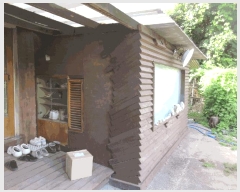  2025Ÿ��51347  �������