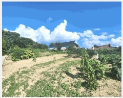  2025Ÿ��51360  �����