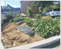  2025Ÿ��51360  �����