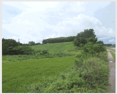  2025Ÿ��51375  �Ӿ߰��