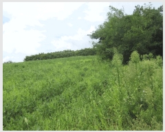  2025Ÿ��51375  �Ӿ߰��