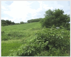  2025Ÿ��51375  �Ӿ߰��