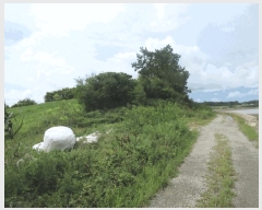  2025Ÿ��51375  �Ӿ߰��