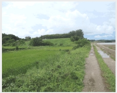  2025Ÿ��51375  �Ӿ߰��