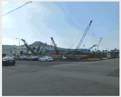  2025Ÿ��51382 ���� ���ϱ� ��ȣ�� ������ 1703-19      ������