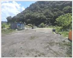  2025Ÿ��51383  ����