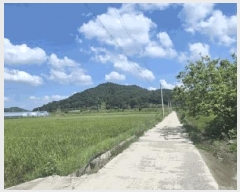  2025Ÿ��51383  ����