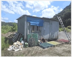  2025Ÿ��51383  ����