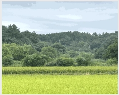  2025Ÿ��51389 ���� ���ȱ� ������ õ�帮 ��152-11      ����(�Ӿ�)���