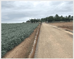  2025Ÿ��51389 ���� ���ȱ� ������ õ�帮 ��152-11      ����(�Ӿ�)���