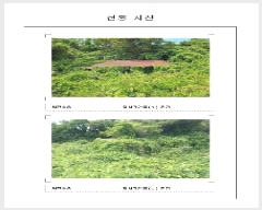  2025Ÿ��51607 ���� �žȱ� ���ڸ� ��θ� 883-1      ����(����)���